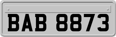 BAB8873