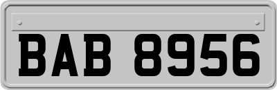 BAB8956