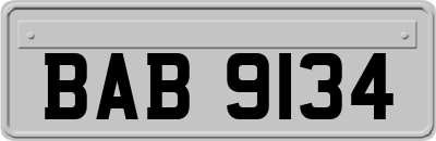 BAB9134