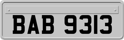 BAB9313
