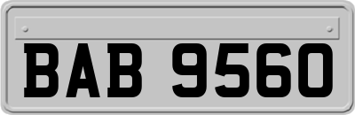 BAB9560