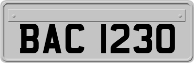 BAC1230