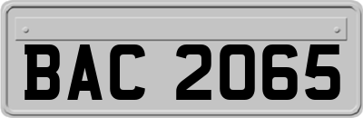 BAC2065