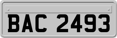 BAC2493
