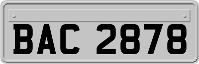 BAC2878