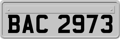 BAC2973