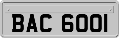 BAC6001