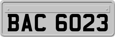 BAC6023