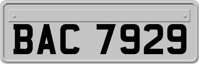 BAC7929
