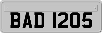 BAD1205
