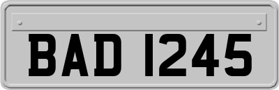 BAD1245