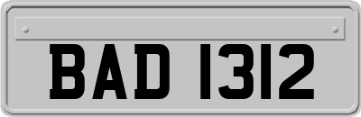 BAD1312