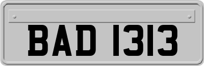 BAD1313