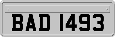 BAD1493
