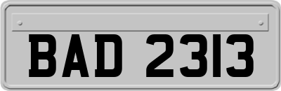 BAD2313