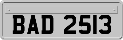 BAD2513