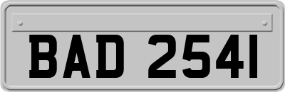 BAD2541