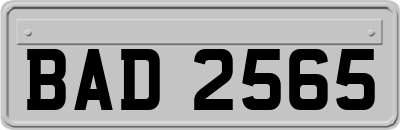 BAD2565