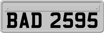 BAD2595