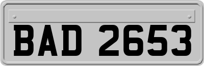 BAD2653