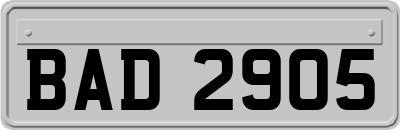 BAD2905