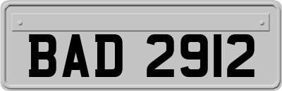BAD2912