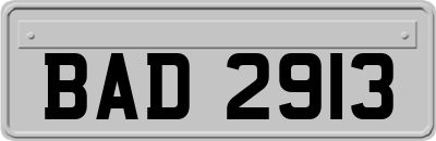 BAD2913
