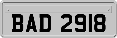 BAD2918