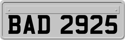 BAD2925