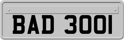 BAD3001