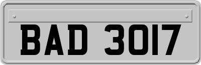 BAD3017