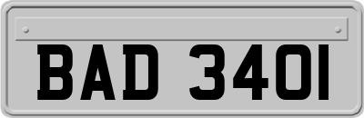 BAD3401