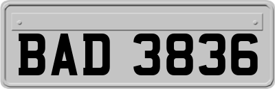 BAD3836