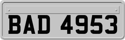BAD4953