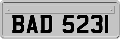 BAD5231