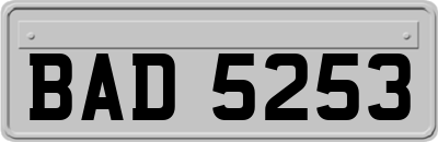 BAD5253