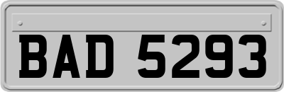 BAD5293