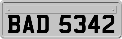 BAD5342