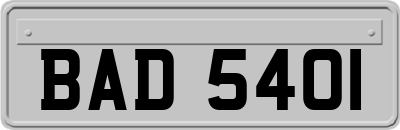 BAD5401