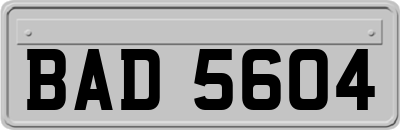BAD5604