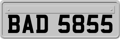 BAD5855