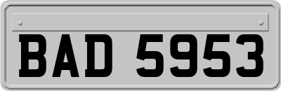 BAD5953