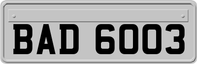 BAD6003