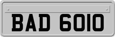 BAD6010