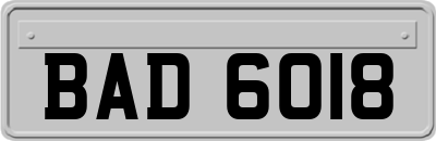 BAD6018