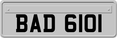 BAD6101