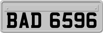 BAD6596
