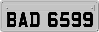 BAD6599