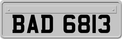 BAD6813