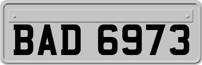 BAD6973